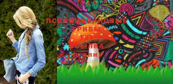 тгк Аркадак
