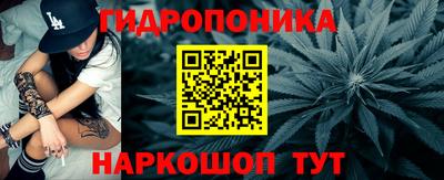 крисы Новозыбков