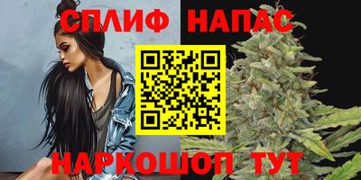 крисы Новозыбков