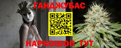 крисы Новозыбков