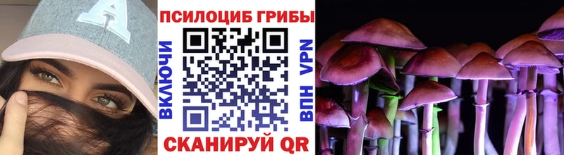 Псилоцибиновые грибы ЛСД Сорочинск