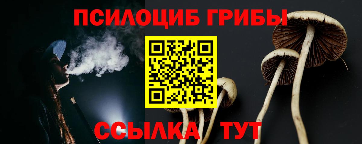 Псилоцибиновые грибы мухоморы  Вход с VPN  Сорочинск 