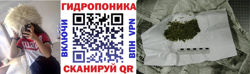 Бошки Шишки ГИДРОПОН  купить закладку  Сорочинск 